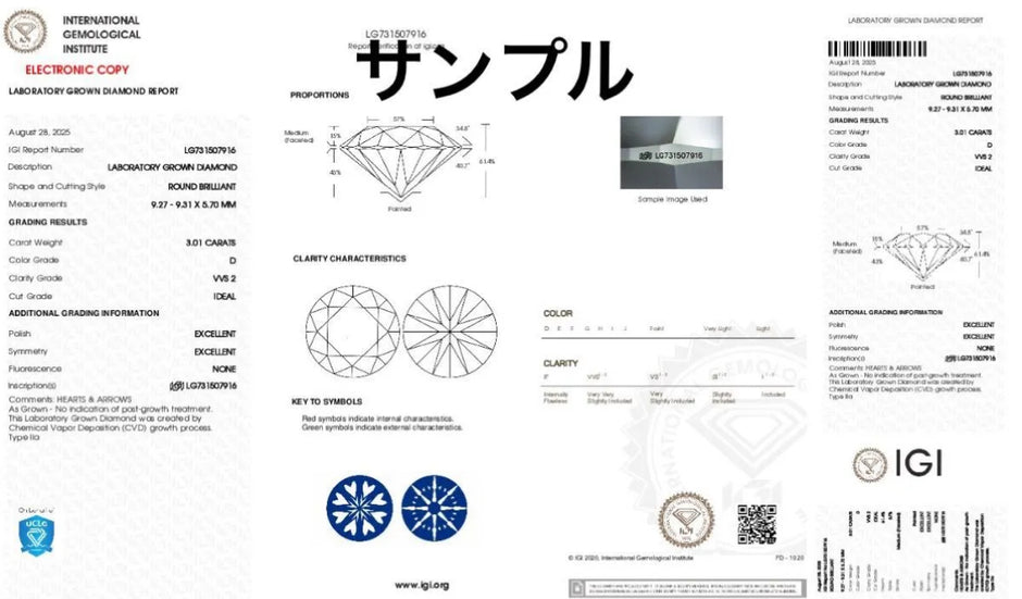無処理 ラボダイヤ リング 3.0ct Dカラー VVS2 PT950 鑑別書付