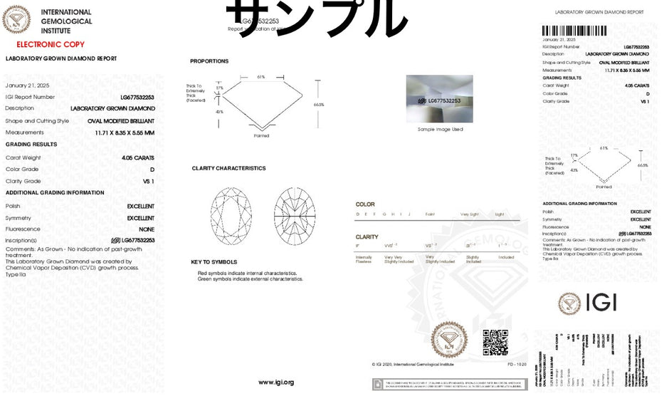 #order-20#4.05ct ラボダイアモンド・オーバルカット・サイドリング