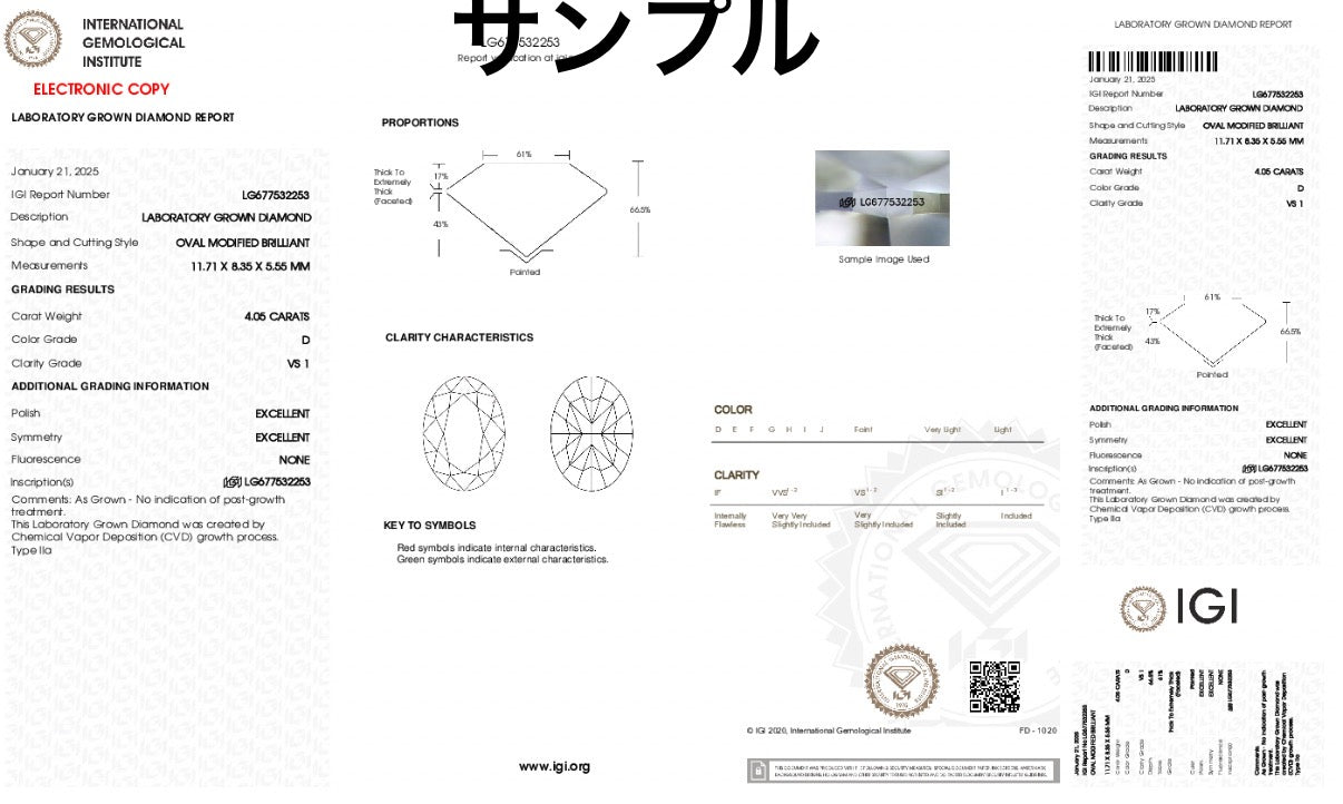 #order-20#4.05ct ラボダイアモンド・オーバルカット・サイドリング