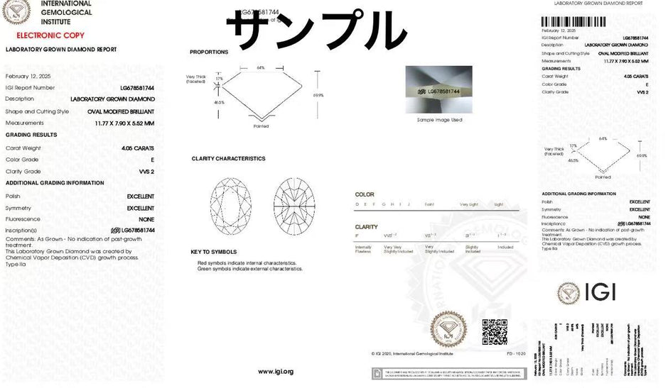 #order-20#4.05ct ラボダイアモンド・オーバルカット・サイドリング
