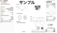 #order-20#4.05ct ラボダイアモンド・オーバルカット・サイドリング